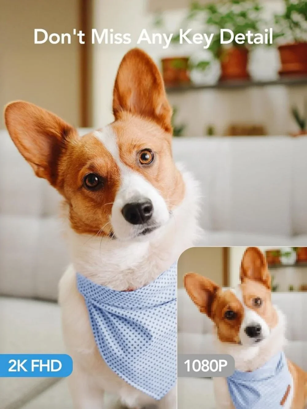 5G Indoor Security Cameras for Home - Pet/Dog/Baby Monitoring, 4-Pack with App
